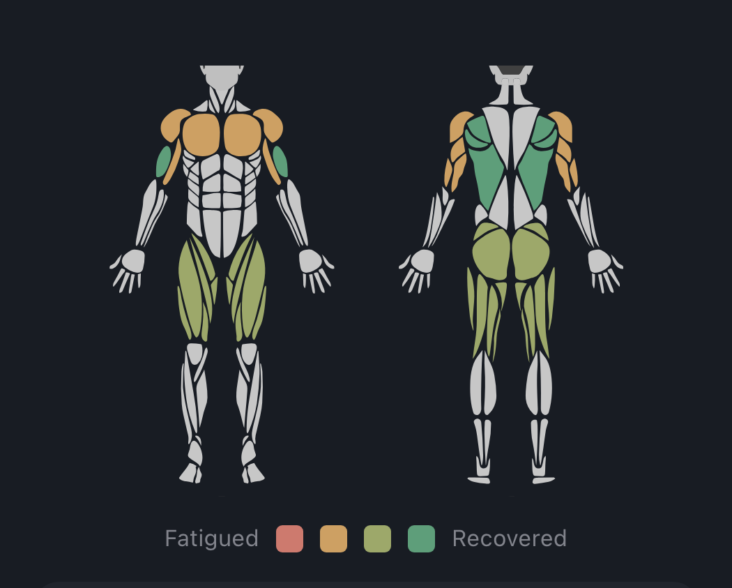 Muscle recovery body map, colored from fatigued to recovered